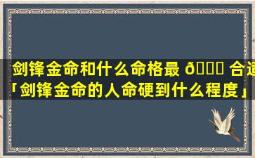 剑锋金命和什么命格最 🍁 合适「剑锋金命的人命硬到什么程度」